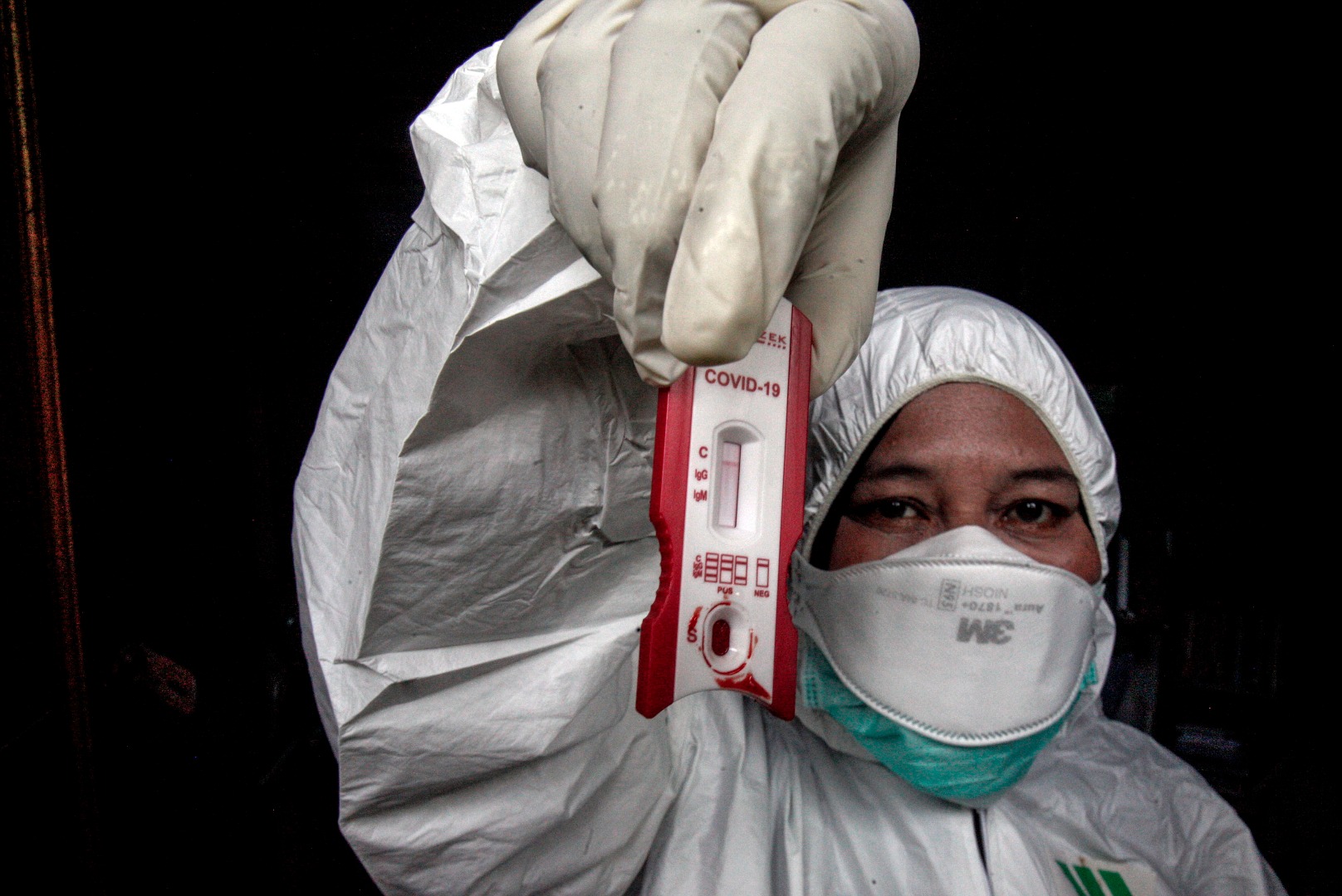 Kemampuan Mutasi Yang Lambat Indonesia Go Id