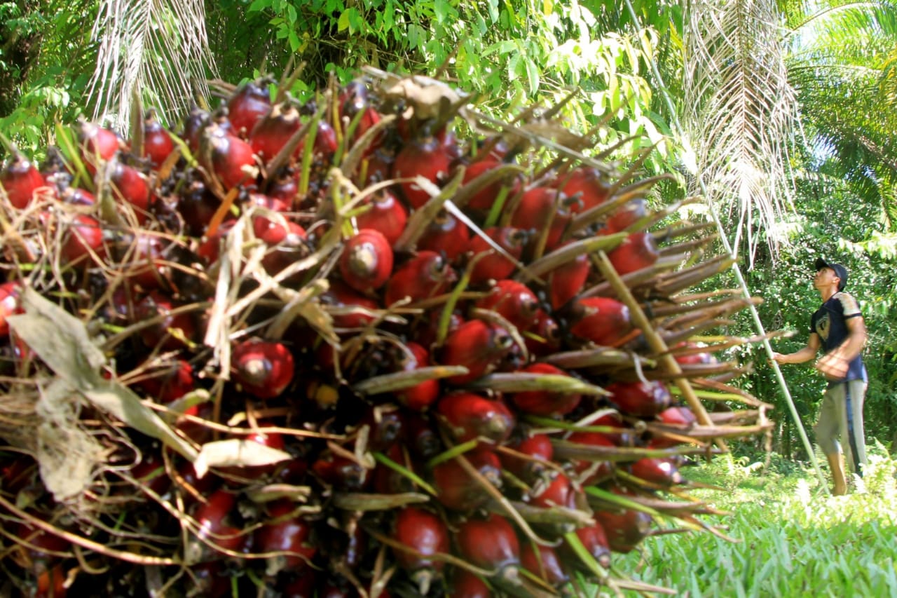 Tahan Banting di Pasar yang Meriang | Indonesia.go.id