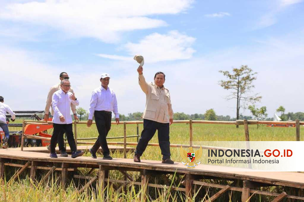 Pemerintah Optimalkan Program Pertanian untuk Wujudkan Swasembada Pangan dan Penyerapan Tenaga Kerja