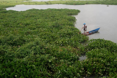 Penyelamatan Delapan Danau Prioritas