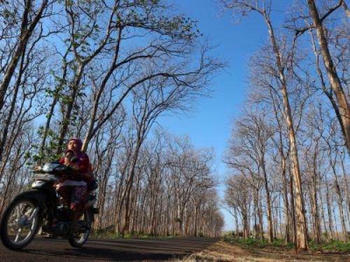 Negara Hadir di Kawasan Pinggiran 