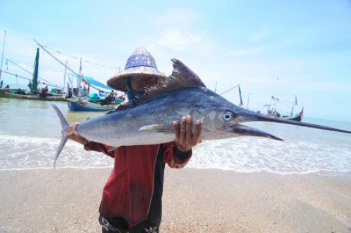 Menjaga Laut, Menjaga Lumbung