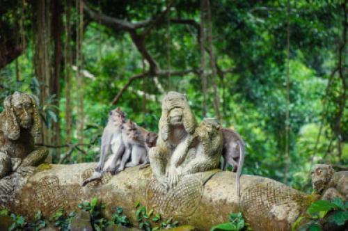 Indonesia, Negara Megabiodiversitas