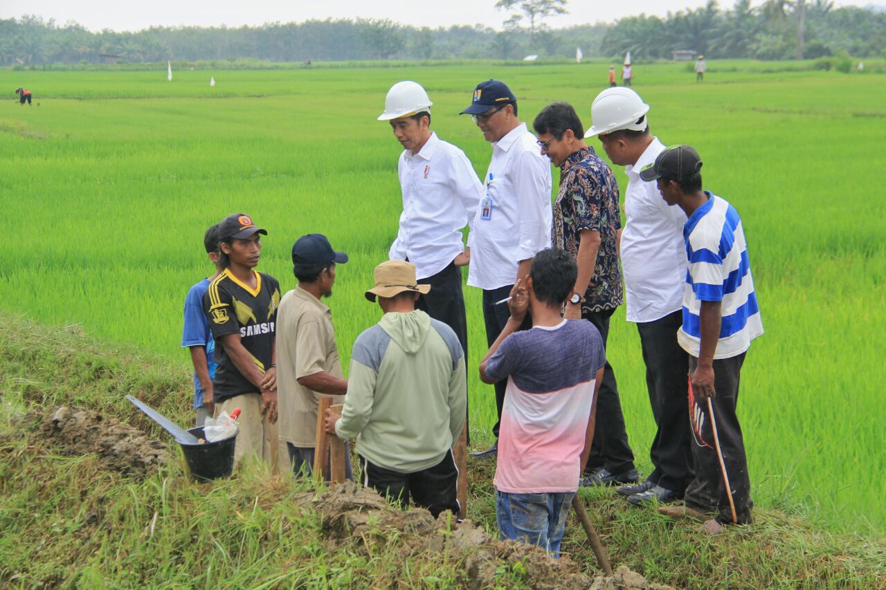 Indonesia.go.id - Petani Untung Dan Harga Terjangkau