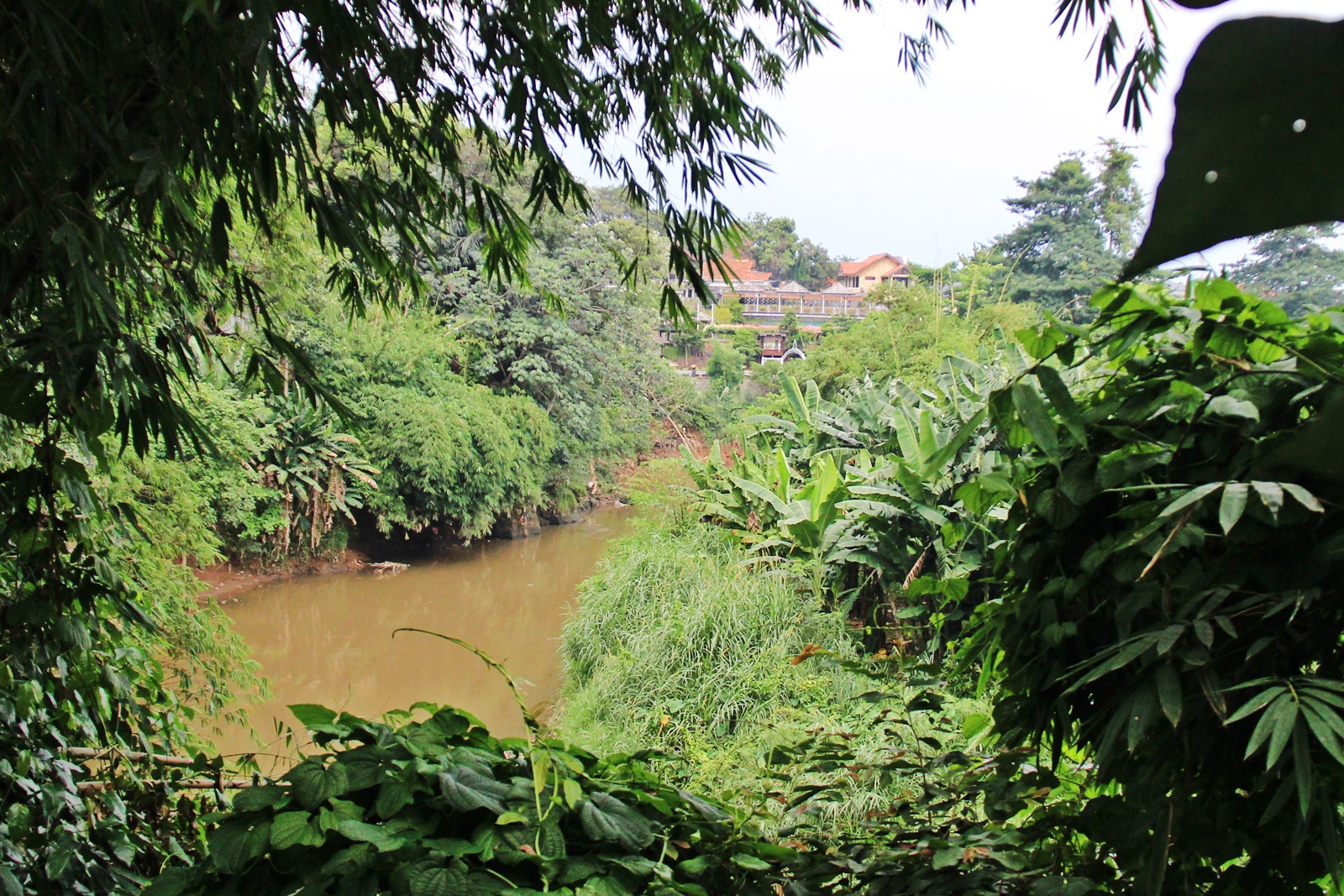 Ketika Ciliwung Punya Pahlawan Baru