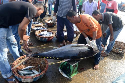 Perikanan Masih Jadi Sektor Unggulan 