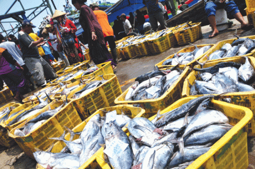 Balada Karlak, Riwayat Pengutil Ikan Pantura