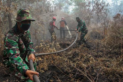 Orang Bakar Hutan, Pemerintah Divonis Bersalah