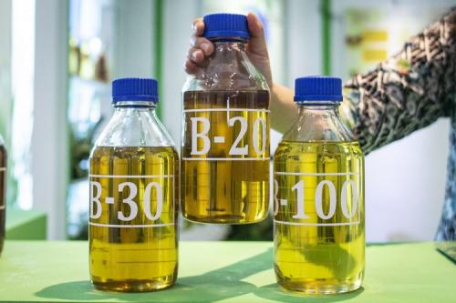 Saatnya Alihkan CPO untuk Biodiesel 100