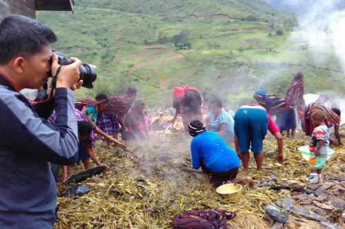 Tradisi Bakar Batu Bentuk Toleransi Masyarakat Papua