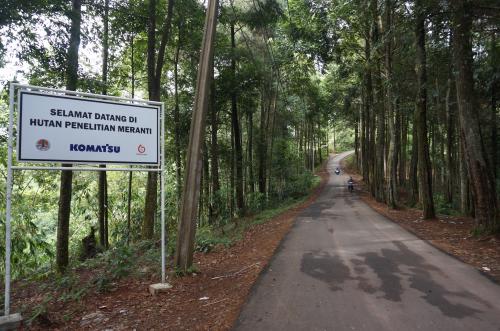 Revolusi Hijau Bergerak Dari Kebun Raya