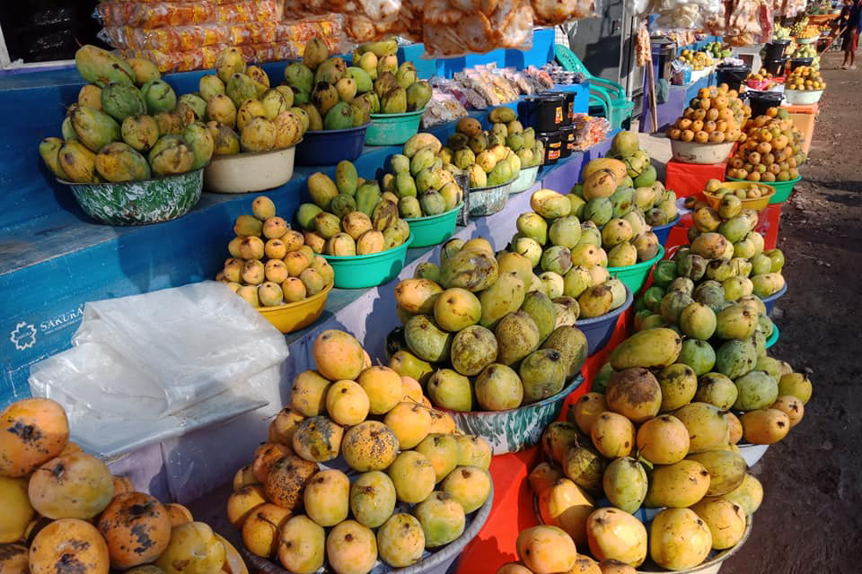  Mangga  Apel Warna  Merah Sedangkan jenis mangga  apel 