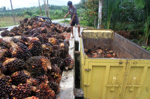 Komoditas Sawit Tetap Jadi Andalan