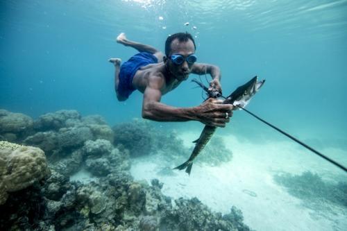 Bajau dalam Satu Tarikan Nafas