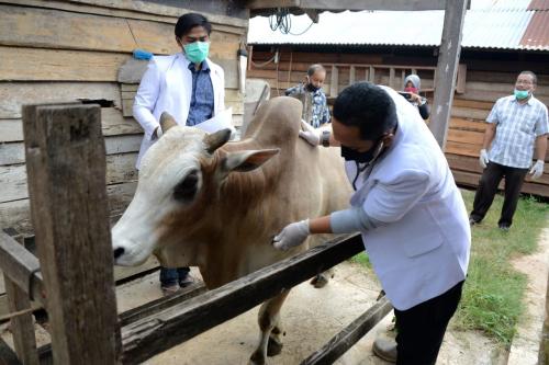 Memompa Solidaritas Sosial di Tengah Pandemi