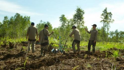 Harta Tersembunyi di Bumi Cenderawasih