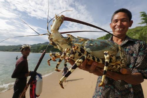 Kegairahan yang Terkendala Harga