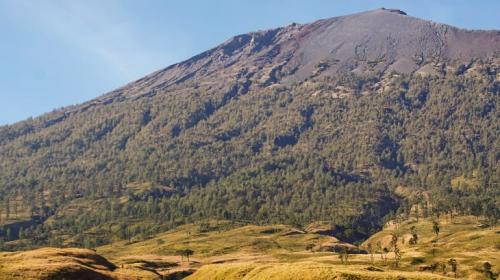 Pengakuan Unesco untuk Tiga Cagar Biosfer Indonesia 