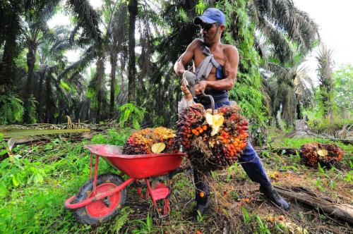 Sawit Masih Berkilap