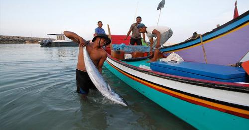 Digital Sentuh Produk Makanan Nelayan