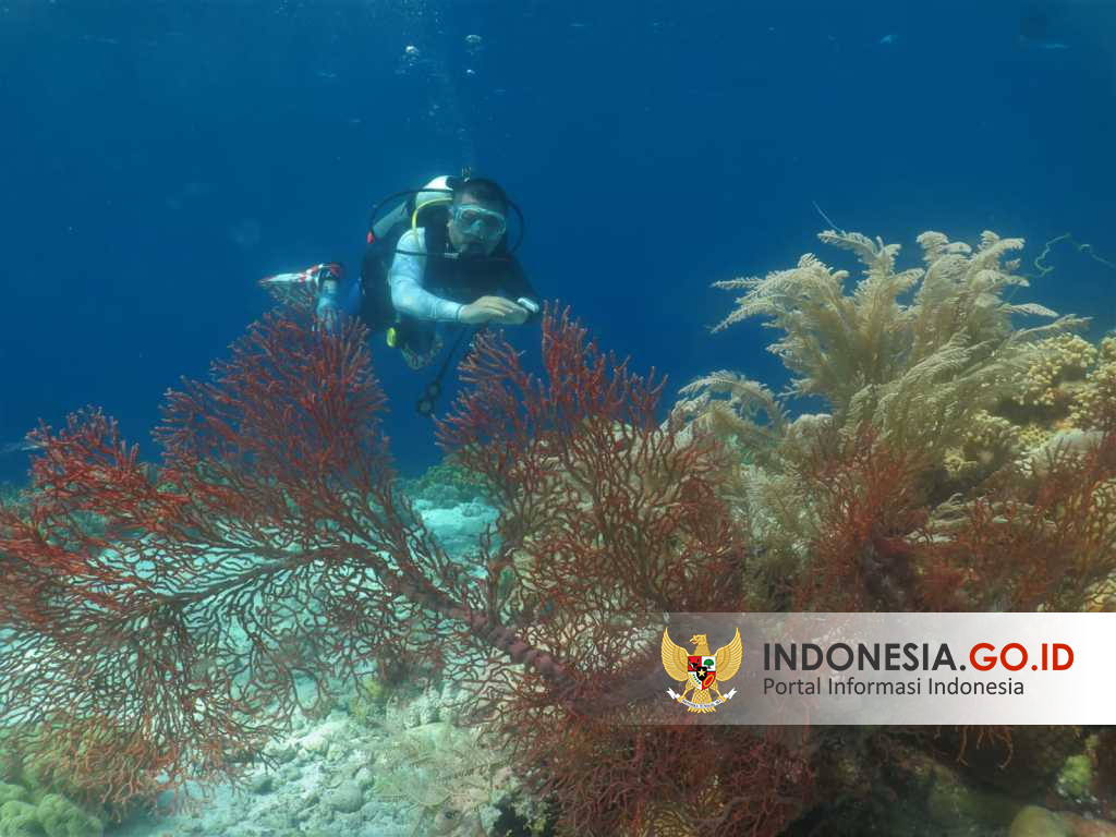 Ekonomi Biru untuk Indonesia Lebih Kuat - Indonesia.go.id