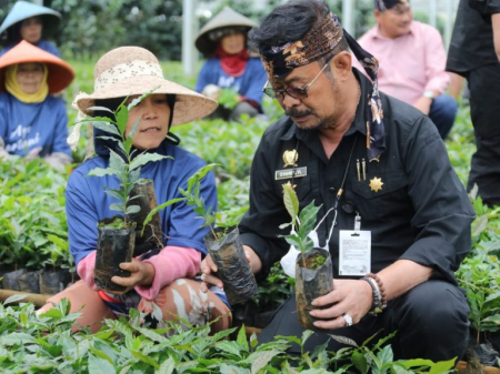 Bibit Kopi Unggul Mengalir dari Garut 