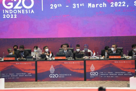Tiga Kesimpulan Pertemuan TIIWG G20 