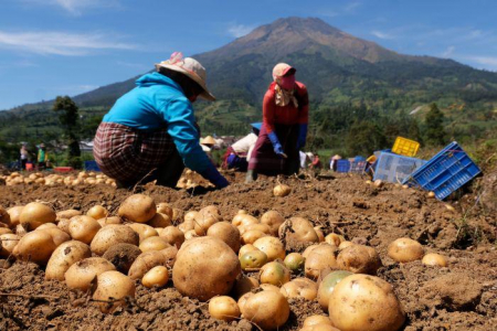 Sektor Pangan Masih Moncer