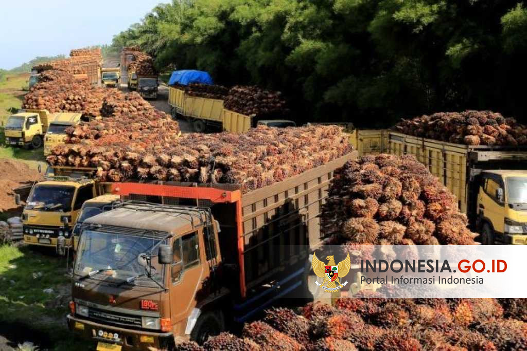 Indonesia.go.id - Menanti Realisasi Penggunaan Bahan Bakar Diesel B40