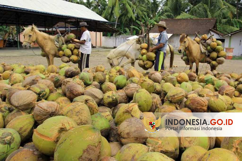 Indonesia.go.id - Mengembangkan Industri Hilir Kelapa