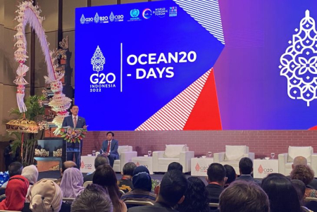 Ocean20 Wujudkan Laut yang Lestari