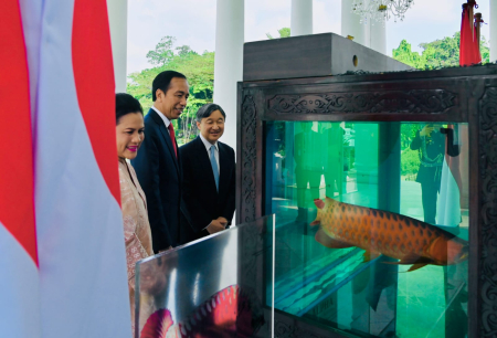 Diplomasi Ikan dan Kenangan Kaisar Jepang di Bogor