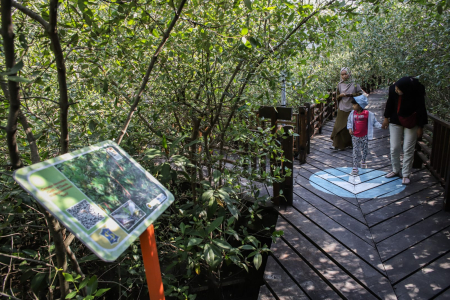 Indonesia Kini Miliki Kebun Raya Mangrove