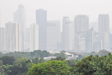 WFH sebagai Solusi Bersihkan Udara Jakarta 