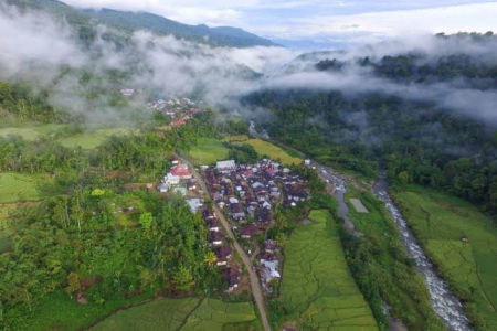 Merawat Hutan Adat Merangin