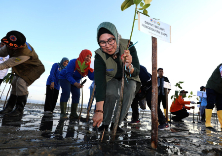 Padang Lamun, Gudang Karbon Masa Depan Indonesia