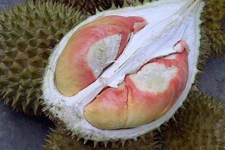 Berbagai Jenis Durian di Nusantara