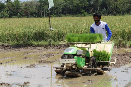 Menjaga Lampung sebagai Lumbung Padi Nasional