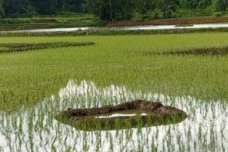 Kearifan Masyarakat Toraja dan Mbojo Merawat Air