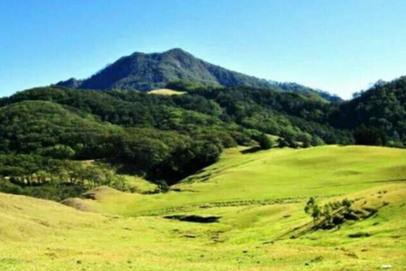 Mutis Timau: Paru-Paru NTT yang Menjaga Kehidupan dan Keberlanjutan