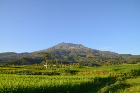 Menyingkap Keindahan Girikerto dari Lereng Gunung Lawu