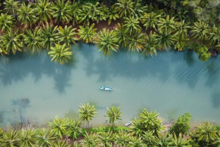 Menjelajah Sungai Maron, Amazon dari Pacitan