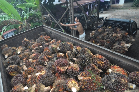 Limbah Kelapa Sawit untuk Ekonomi Berkelanjutan