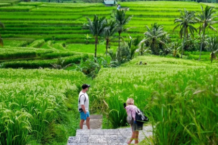 Dari Kearifan Lokal Menuju Panggung Dunia