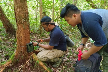 Dicari, Periset Ekspedisi Biodiversitas di Kalimantan