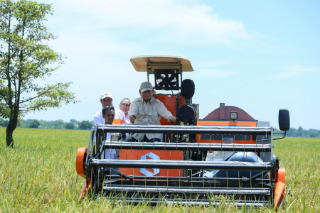 Cadangan Beras Melebihi 3,7 Juta Ton, Indonesia Menuju Kemandirian Pangan