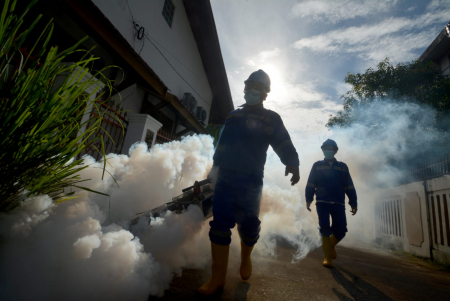 Memberantas Dengue, bukan hanya DBD