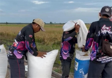 Brigade Pangan Kementan, Langkah Strategis Regenerasi dan Swasembada