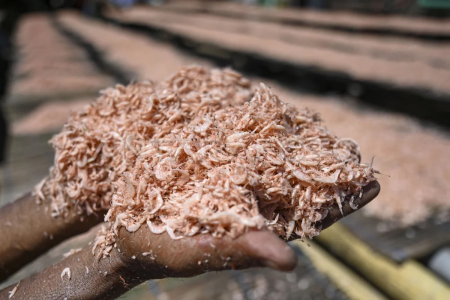 Pemerintah Komitmen Lindungi Masyarakat dan Industri Udang Nasional