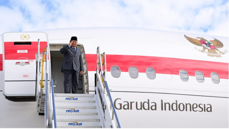 Pertemuan Dua Kepala Negara, Indonesia-Brasil Perkuat Arah Kemitraan Strategis